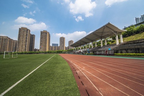 2021年重庆城市管理职业学院招生计划