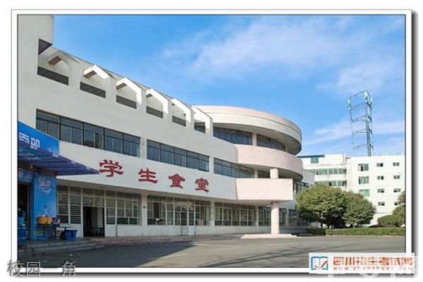 四川交通运输职业学校篮球场