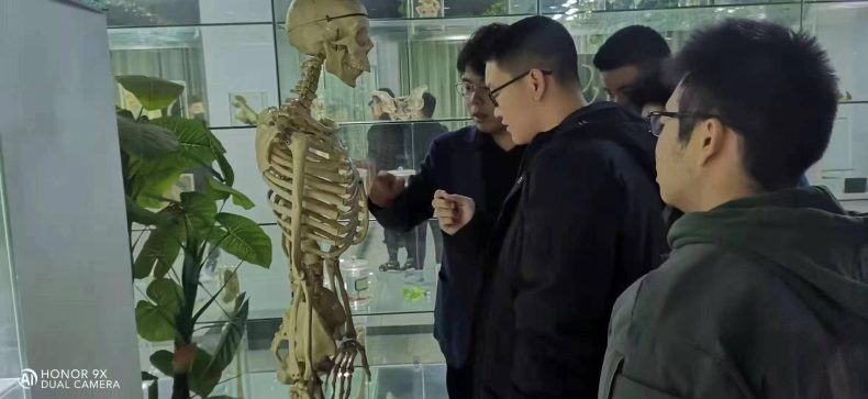 潍坊护理职业学院2023年招生计划-1