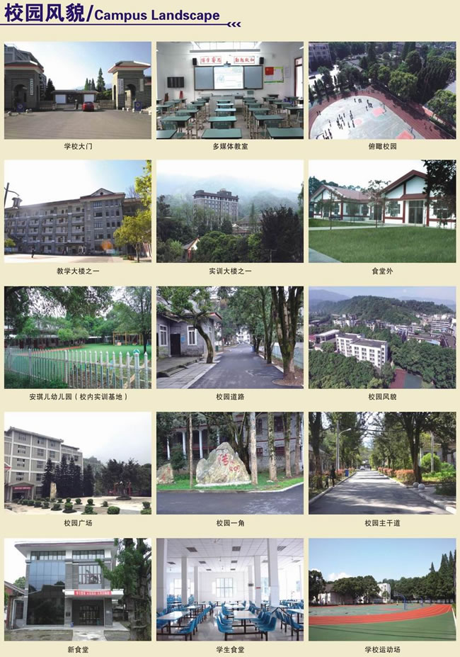 四川省档案学校（雅安档案学校）招生计划一览表