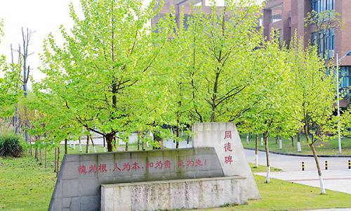 重庆机电职业技术学院开设有哪些专业