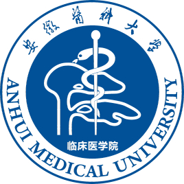 安徽医科大学临床医学院奖学金有哪些，一般多少钱？