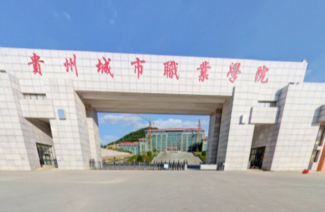 2022年贵州城市职业学院录取规则