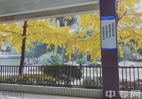 四川核工业技师学院成都温江校区校园环境