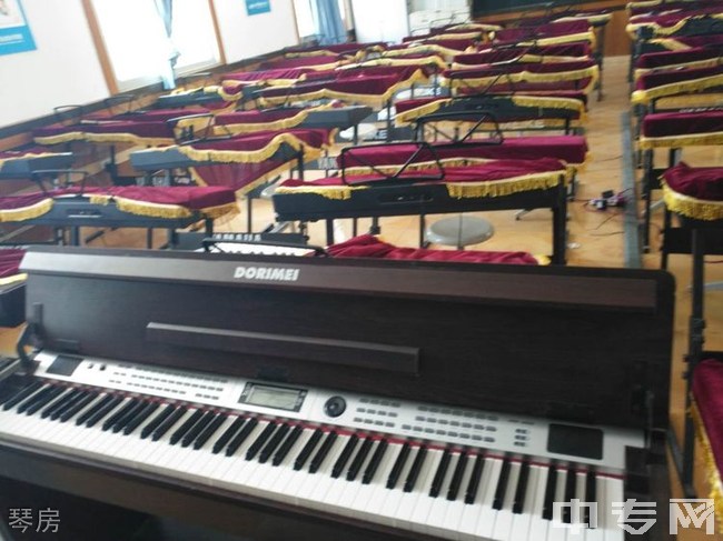 宜宾县科普职业技术学校钢琴训练室