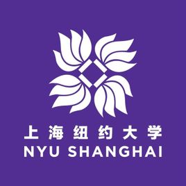 上海纽约大学是985还是211大学？