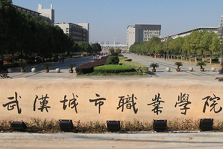 武汉城市职业学院学费多少钱一年-各专业收费标准