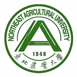 东北农业大学是985还是211大学？