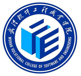 武汉软件工程职业学院中外合作办学学费多少钱一年-各专业收费标准