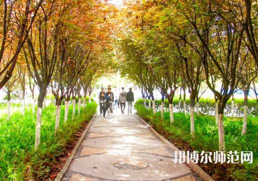 汉中职业技术师范学院2023年招生录取分数线