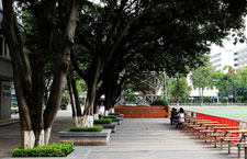 校园环境-绿树成荫的校园风景